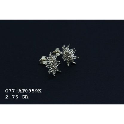 Picture of C77AT0959K