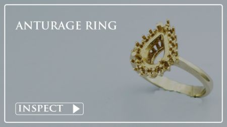 Picture for category Anturage Ring